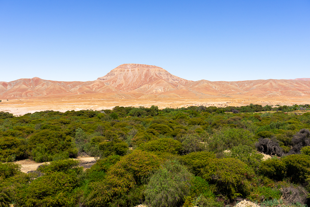 Bosque Seco de Huarangos