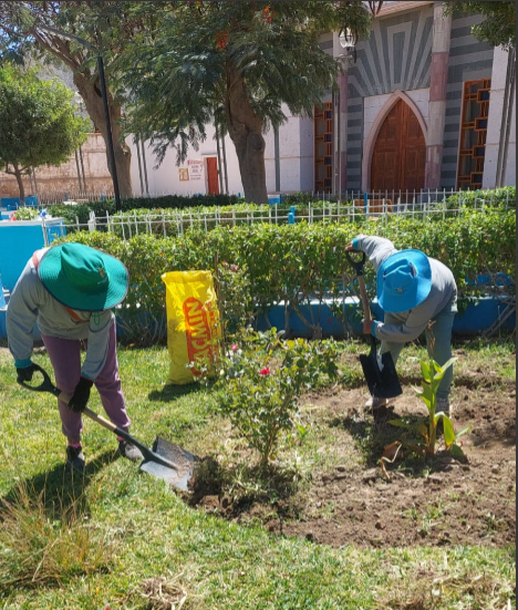 Saneamiento Ambiental