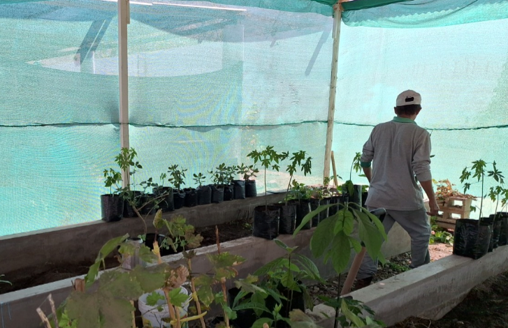 Vivero Municipal